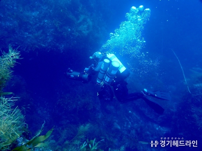 특수잠수기술(trimix SCUBA diving)을 통해 대심도 권역(수심 50m 이상)에서 연구활동을 하고 있다. (사진=삼육대)