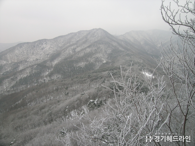 겨울철 광교산에 눈이 내린 모습.