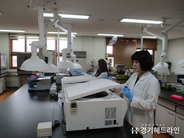 인삼뿌리썩음병 진단서비스 운영 확대