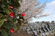 “날아라 평화의 씨”…제주4·3 희생자 추념식 개최