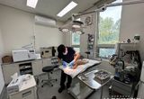 경기도 , 반려동물 진료비...10월부터 치료 목적 100여개 항목 부가세 면제