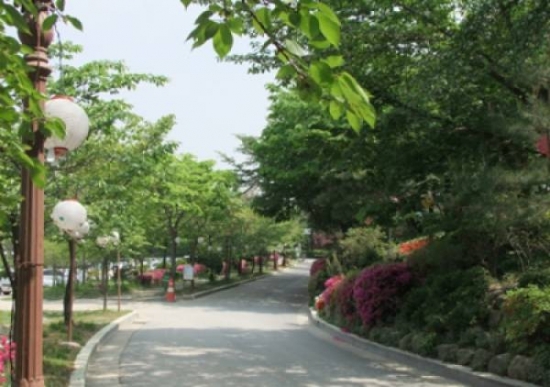 길게 늘어진 연등길