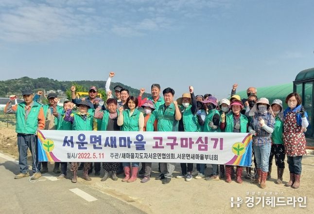 서운면 새마을회, 휴경지 고구마 심기 행사 가져