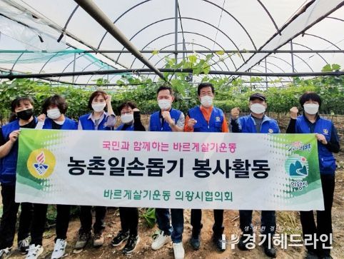 의왕시 바르게살기운동협의회, 포도원 농가 일손돕기 참여