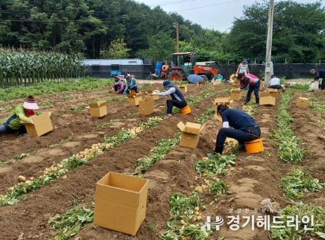 의왕시 생활개선회 감자 35박스 기증