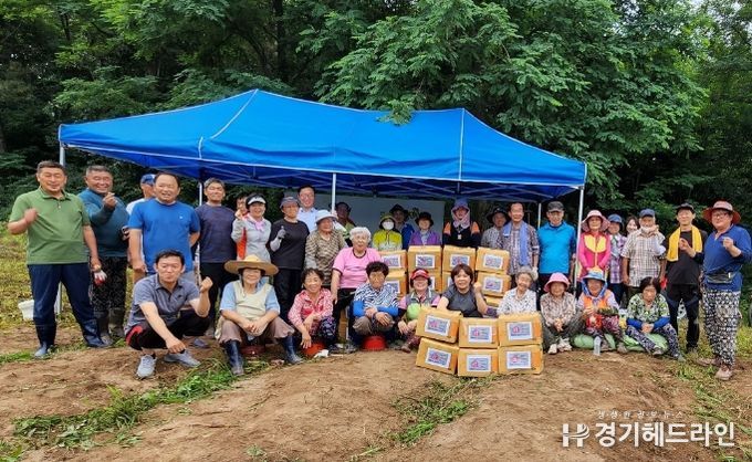 호법면 단천1리 '사랑의 감자 나눔'