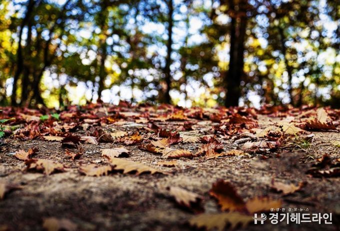 여주시, 조선후기 민중의 역사와 자연이 어우러진 역사생태탐방로 '동학의길' 개장