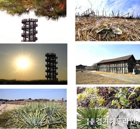 시흥갯골생태공원