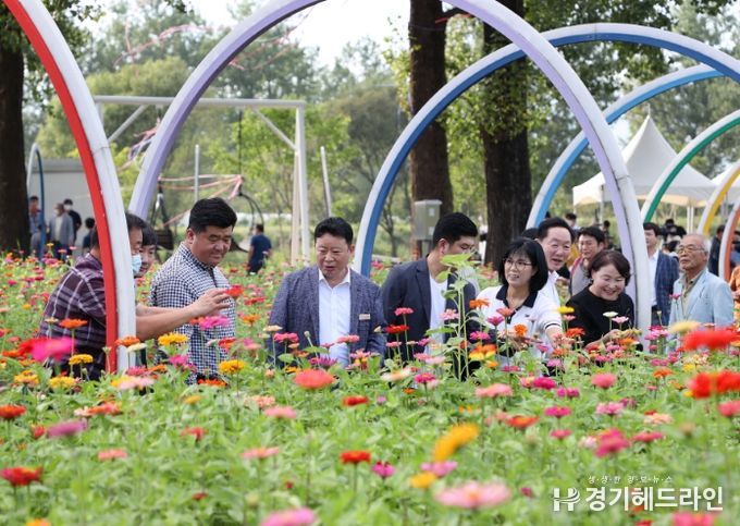 가평군 자라섬 꽃 축제, 경기관광축제 선정