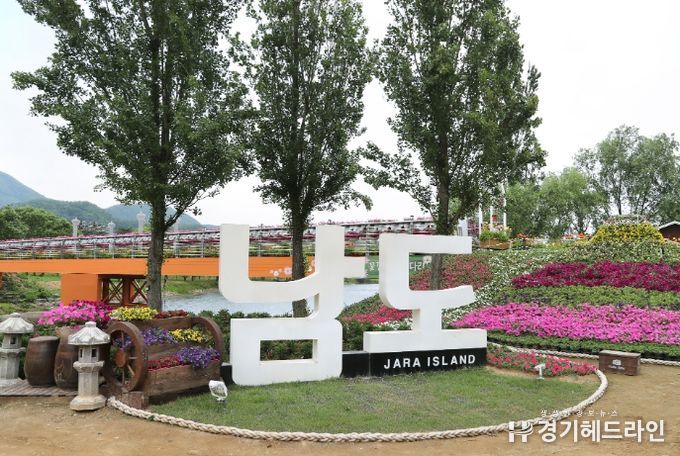 가평군 자라섬 꽃 축제, 한 주간 무료개방