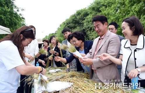 청보리길 축제