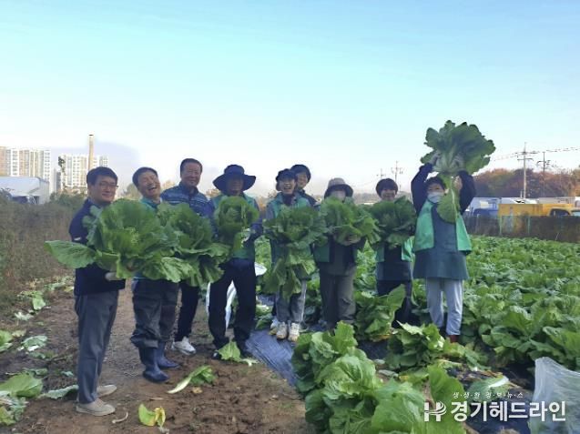 수원특례시 권선구 서둔동, 무·배추로 전하는 이웃사랑