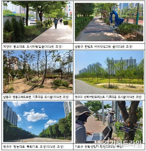 도시숲 조성 현황사진