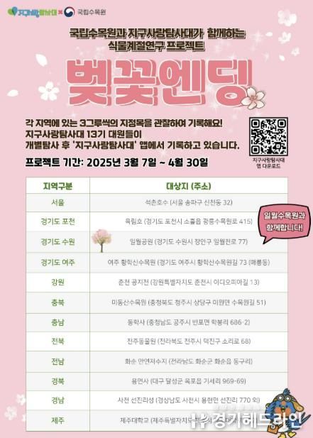 홍보물
