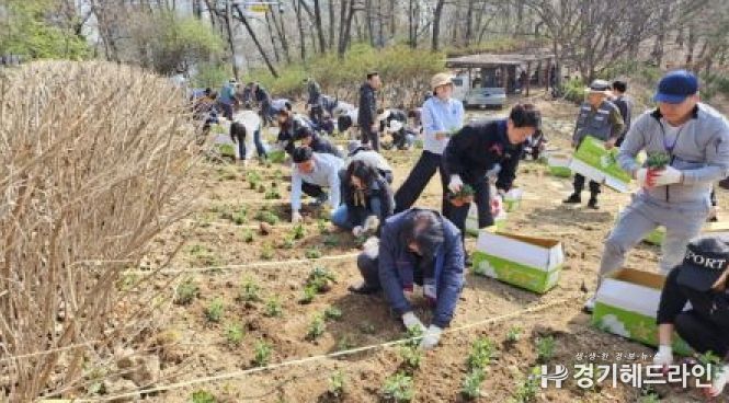 10일 봉담읍 동화마을생태공원에서 시민들이 초화정원 만들기 행사에 참여하고 있다.