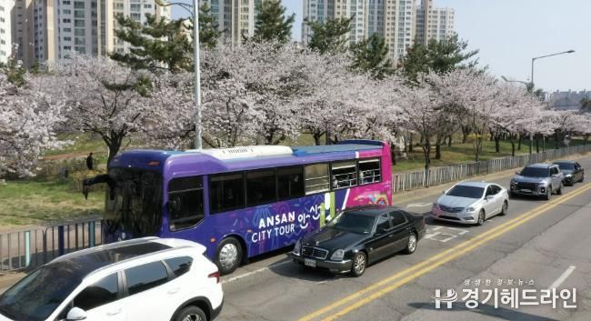 안산시티투어‘핑크로드 in Ansan’성료… 봄맞이 특별 코스 호응