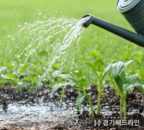 친환경 미생물 이미지