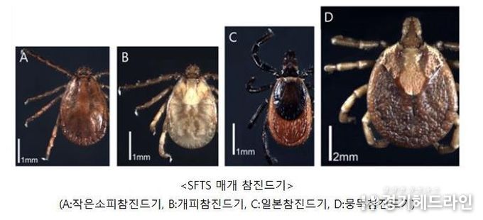 안산시, 봄철 야외 활동 시 참진드기 피해 예방 철저 당부