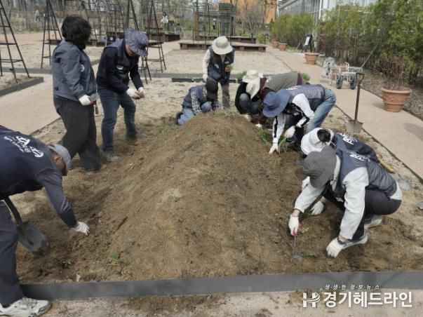 수목원 자원봉사자 ‘수수랑’이 채소원에서 식물을 식재하고 있다
