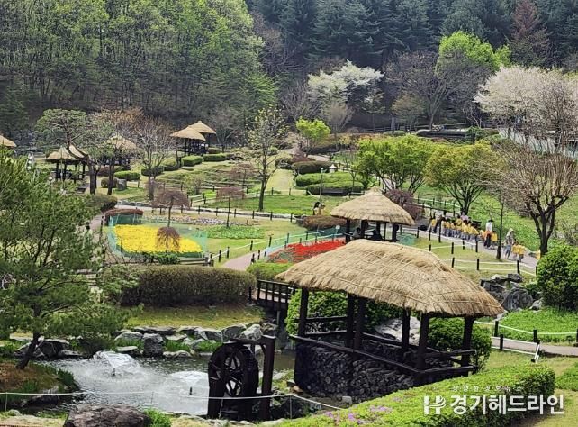 용인특례시 농촌테마파크 여름철 전경