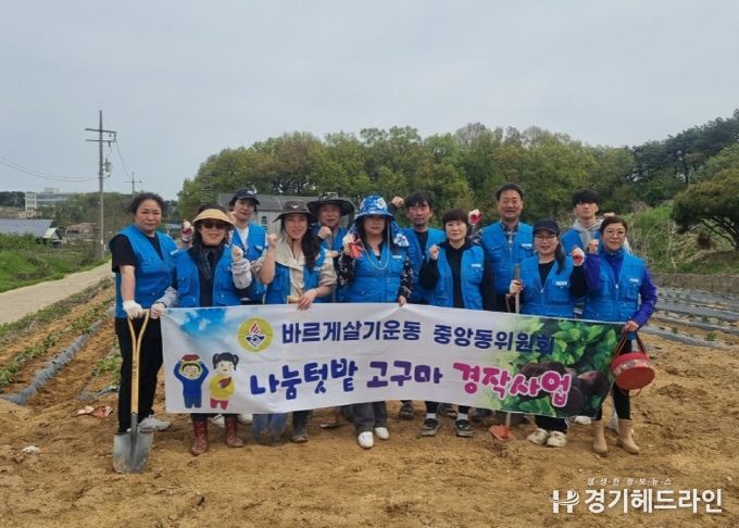 바르게살기운동 평택시중앙동위원회 나눔 기부를 위한 고구마 심기