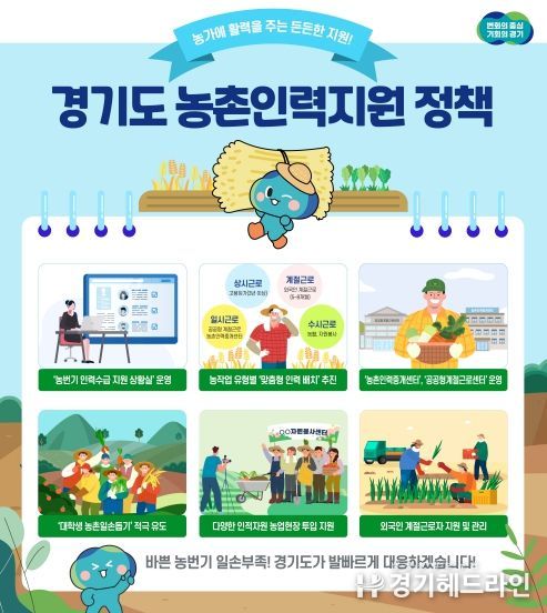 농번기 인력수급 지원