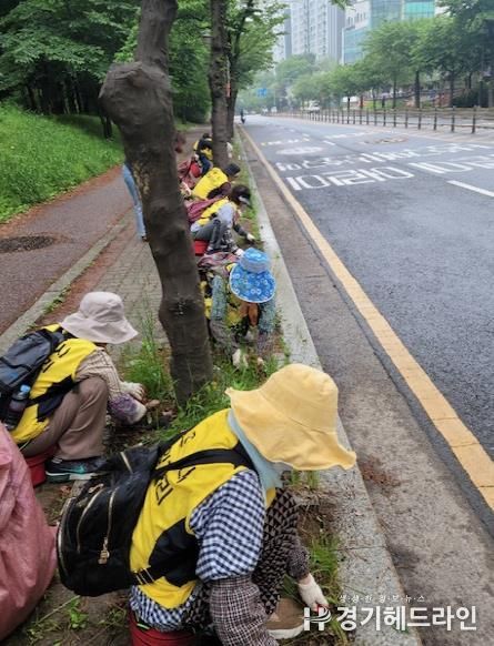 파주시 금촌2동, 노인일자리 참여자와 도로변 잡초 제거…거리 환경 개선 앞장