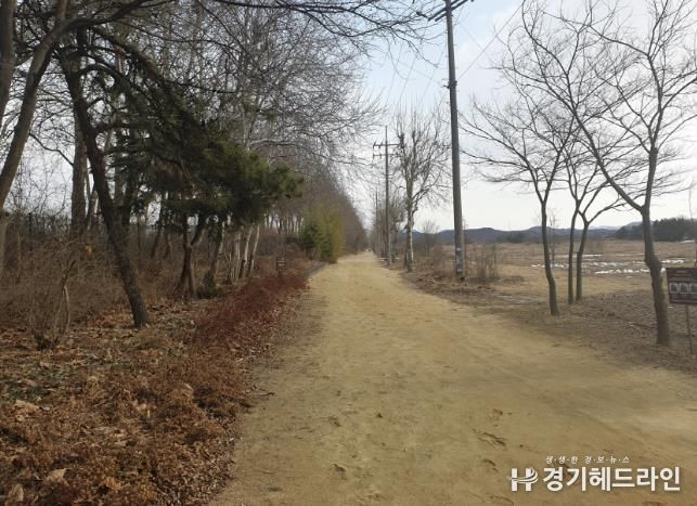 안산시, 안산갈대습지 개방 시간 연장… 오후 10시까지 운영