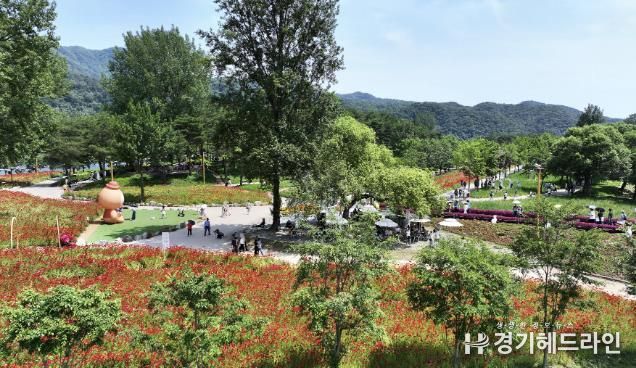 가평 ‘자라섬 꽃 페스타’… 16일 만에 10만명 돌파
