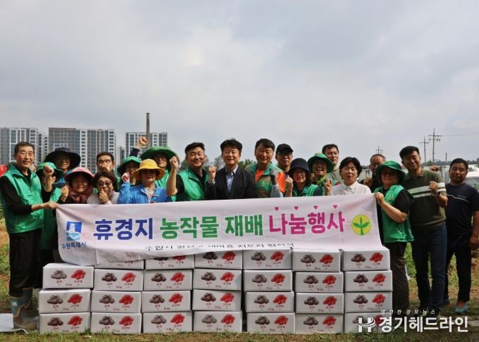 수원특례시 권선구 새마을지도자협의회, 사랑의 감자 수확 및 나눔