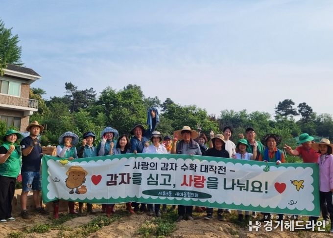 수원특례시 권선구 세류3동 새마을협의회, 사랑의 감자 수확 대작전