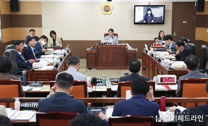 현장 활동