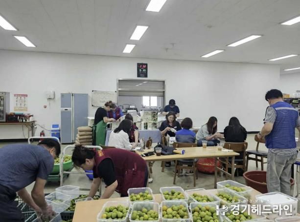 시흥시 신현동 자원봉사지원단, 취약계층에 '정성 한 스푼, 매실청 담그기' 진행