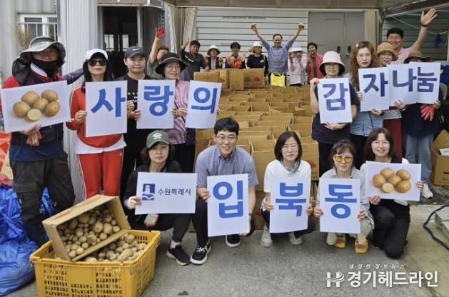 수원특례시 권선구 입북동 새마을지도자협의회, 사랑의 감자 수확
