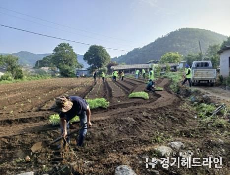 단월면 지역사회보장협의체 들깨 심기