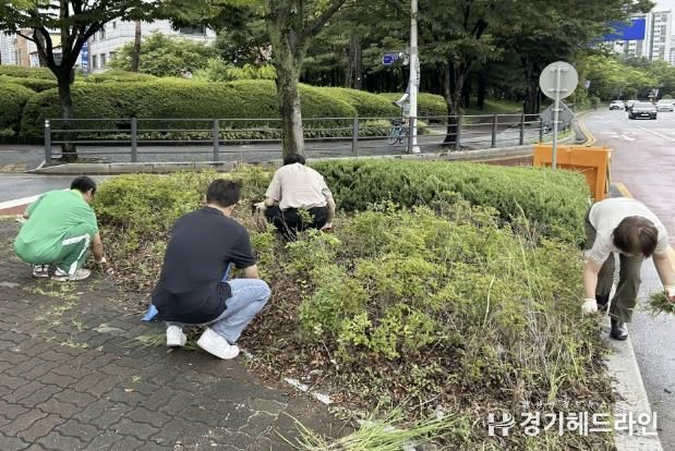 수원특례시 장안구 정자3동, 아름다운 마을 위한 환경정비 실시