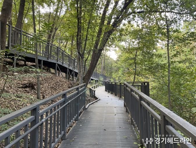 추동숲정원 데크길