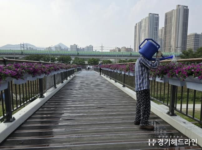 갈매동 매화교 난간 화분 유지·보수, 동구동 경로당 시설 정비사업 등이 진행되었다.