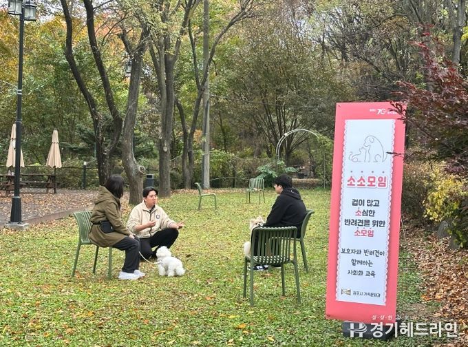 반려견 사회화 교육