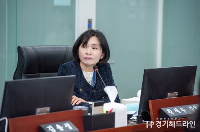 황세주 경기도의원(더불어민주당, 보건복지위원회 부위원장, 비례대표)