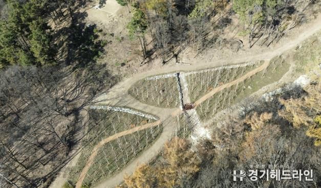 용인특례시가 수지구 죽전동에 조성한 '도시 숲' 모습