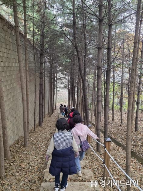 용인특례시 보건소 건강걷기 프로그램에 참여 중인 시민들