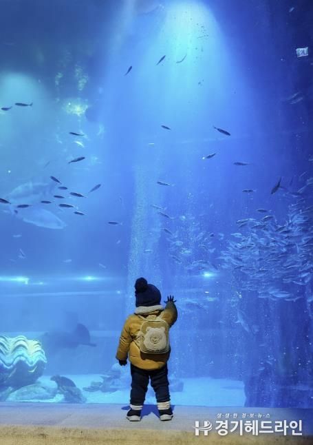 구리 교문2동 협의체, 취약계층 아동·청소년 대상 문화·체험학습 지원 사업 추진