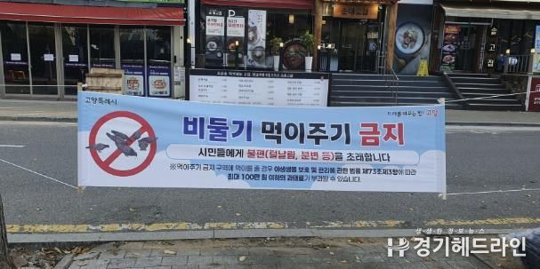 ‘비둘기 먹이주기 금지’ 안내 현수막