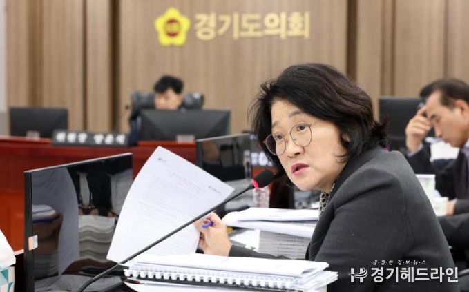 경기도의회 신미숙 의원