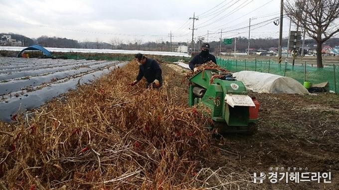 파주시,“영농 부산물 태우지 말고 파쇄하세요!”