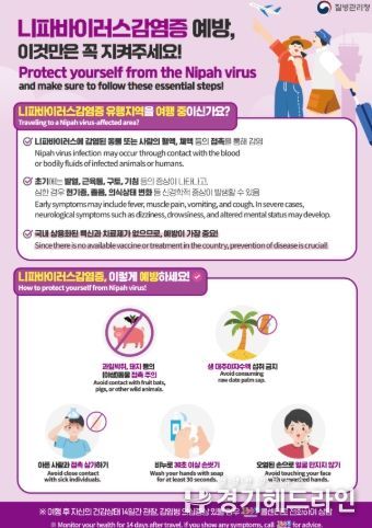 이천시, 니파바이러스 발생 국가(인도, 방글라데시 등) 여행 시 예방 수칙 준수 당부