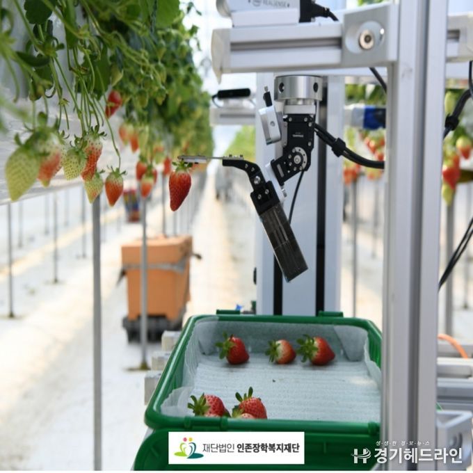 딸기 식물공장