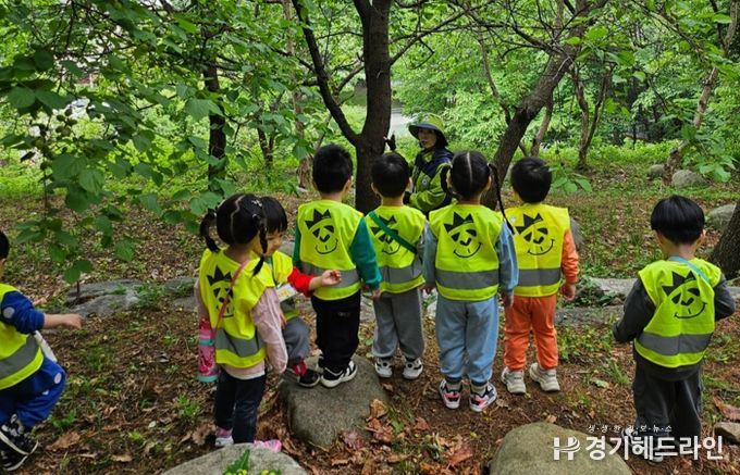 용인특례시가 상반기 유아숲체험과 찾아가는 숲해설 참여기관을 모집한다.