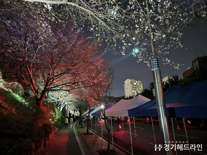 지난해 도촌 봄맞이길 벚꽃축제 때